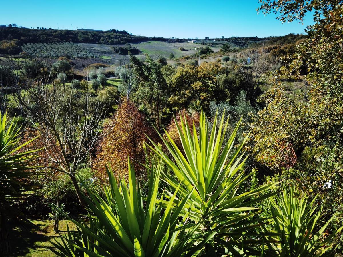 Quinta Do Vale Encantado "The Valley" - Santarem - Portugal Calhariz Esterno foto