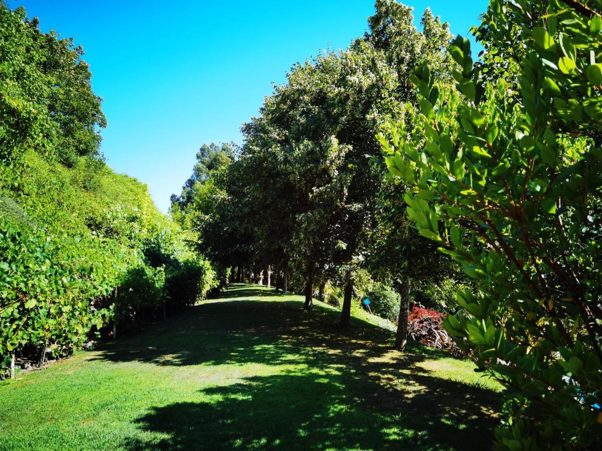 Quinta Do Vale Encantado "The Valley" - Santarem - Portugal Calhariz Esterno foto