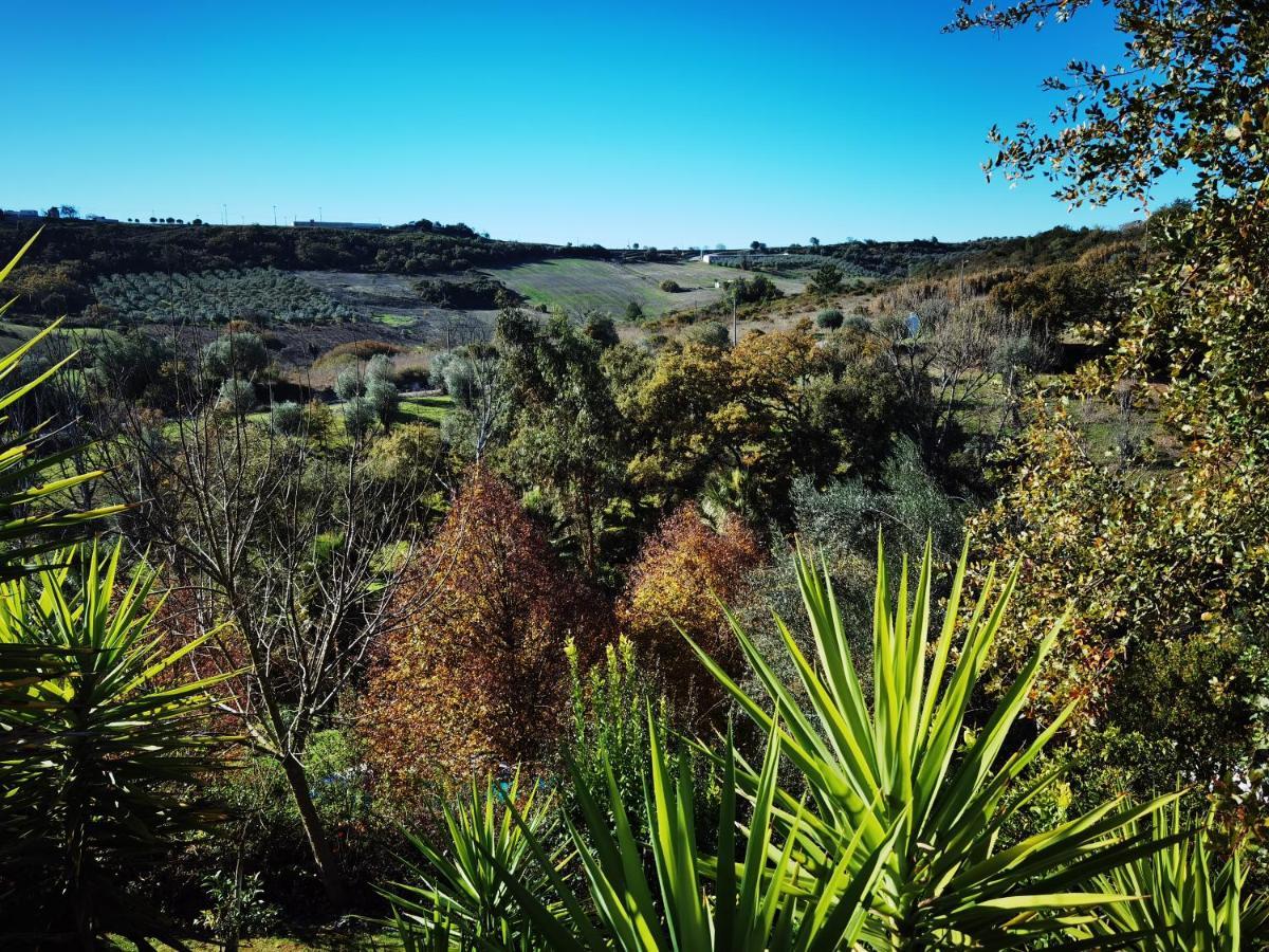Quinta Do Vale Encantado "The Valley" - Santarem - Portugal Calhariz Esterno foto